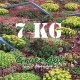 Groendakvoer Sedum ecozakken 2 x 3½ kg